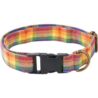 rainbow plaid collar