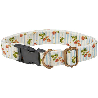 strawberry dog collar
