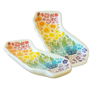 california shaped floral rainbow trinket tray