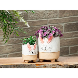 bunny with ears planter - assorted