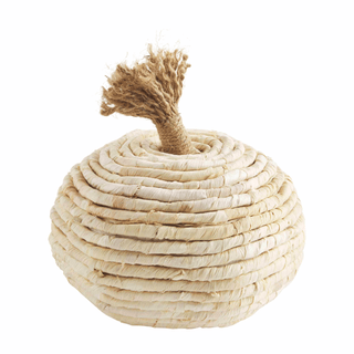 tan corn husk pumpkin