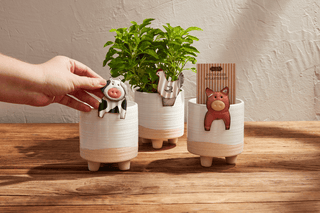 farm animal pot hugger & planter set - assorted