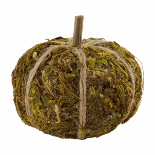 mini moss pumpkin