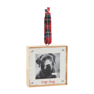 top dog wood & acrylic frame