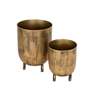 katela large footed plantar