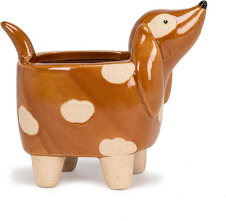 small dog planter