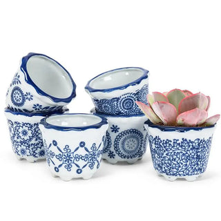 blue/white small planters - assorted