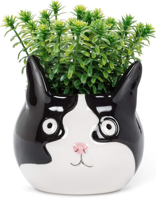 cat head planter