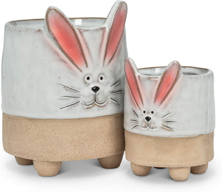 bunny with ears planter - assorted