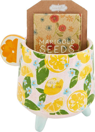 hello sunshine pot with seeds