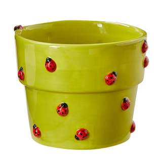 garden ladybug planter