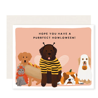 purrfect halloween card