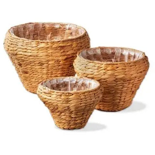 westport hyacinth planter - assorted