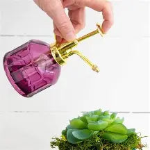 plant mister