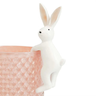 bunny planter rim hanger