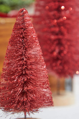 red bottle brush tree