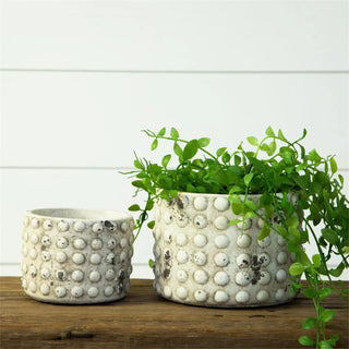 grey bubble planter - assorted