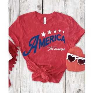 the beautiful america mineral graphic tee