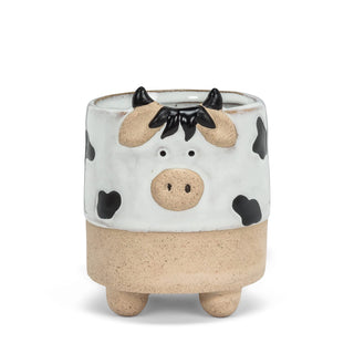 mini cow on legs planter