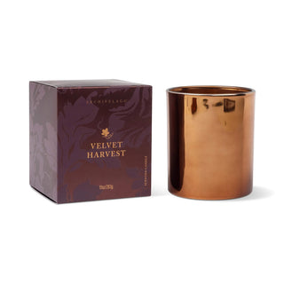 velvet harvest boxed candle