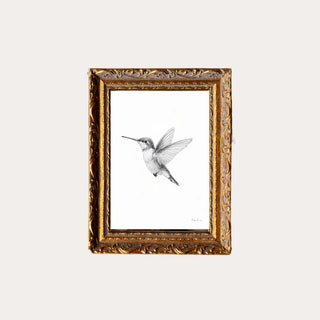 humming bird I french brass inspired gold mould framed 12 x16